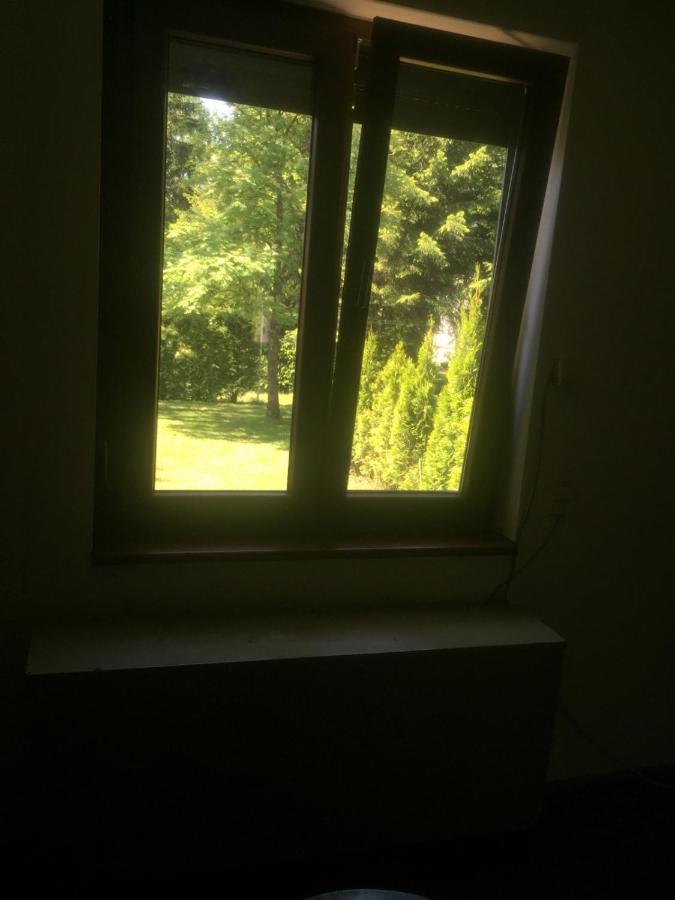 Vila Borovic Zlatibor Exterior foto