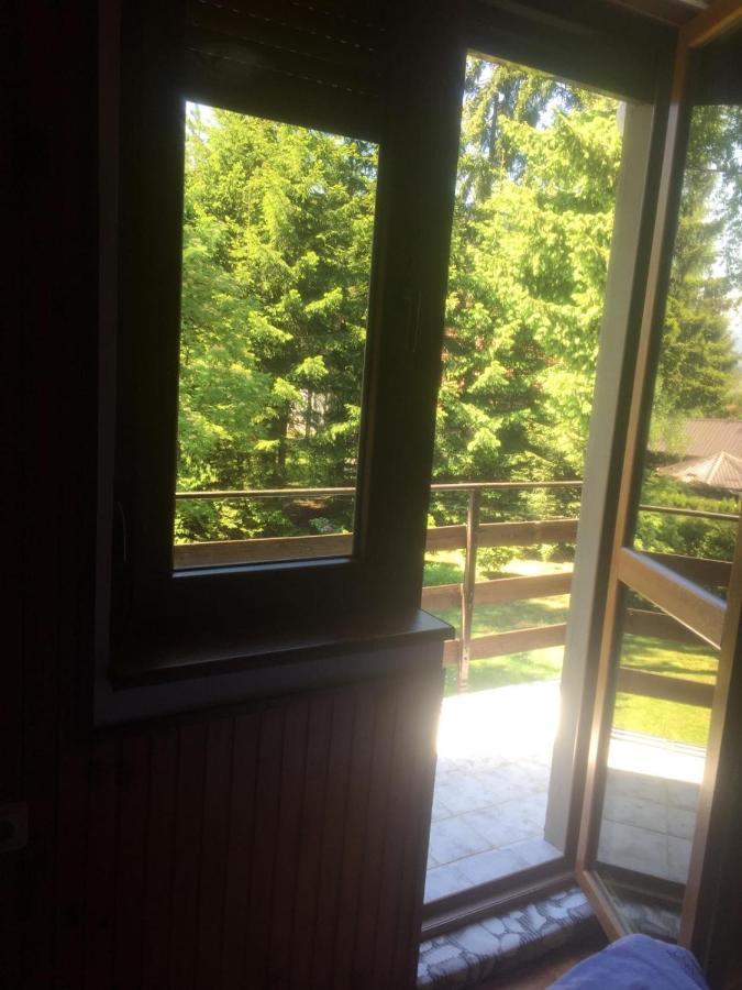 Vila Borovic Zlatibor Exterior foto