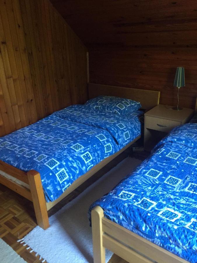 Vila Borovic Zlatibor Exterior foto