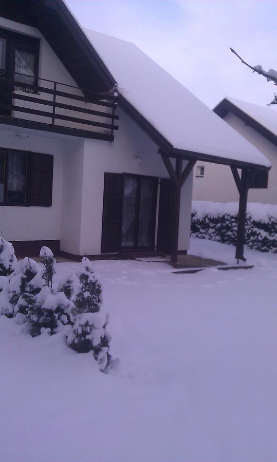 Vila Borovic Zlatibor Exterior foto