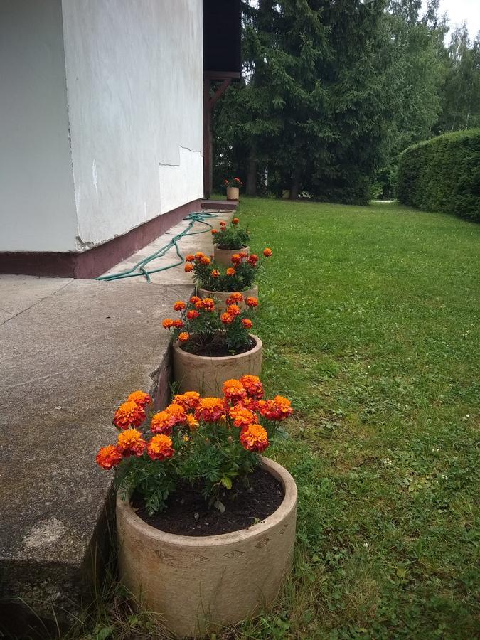 Vila Borovic Zlatibor Exterior foto