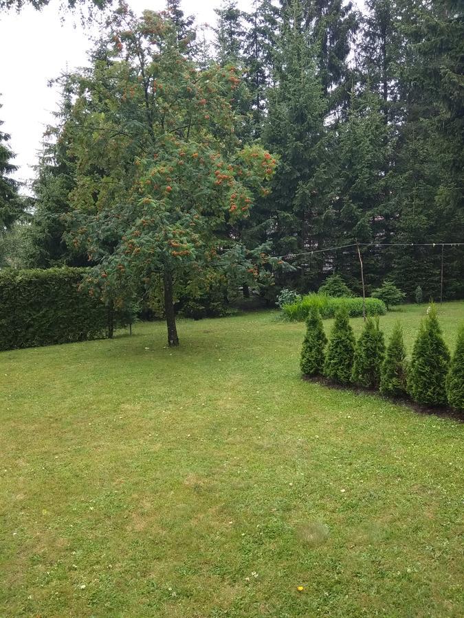 Vila Borovic Zlatibor Exterior foto